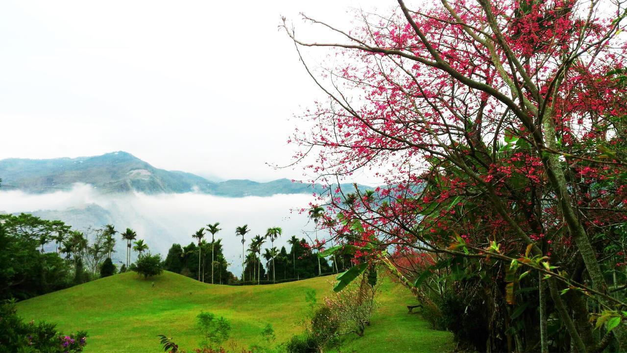 Foggy Wonderland Villa จูซาน ภายนอก รูปภาพ